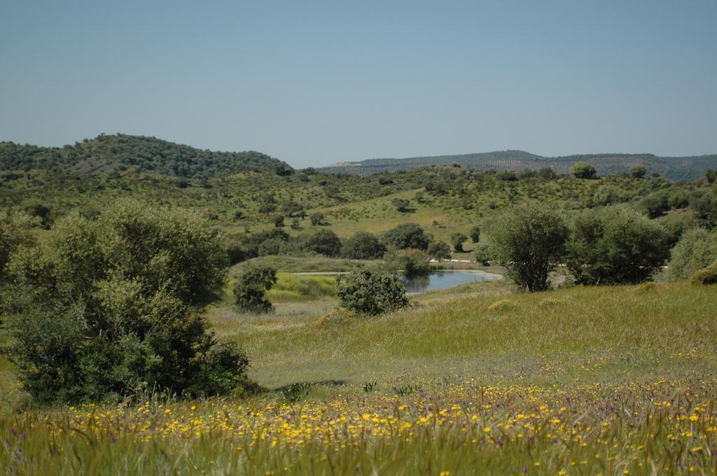 הוסטל Villafranca de Córdoba Albergue Rural De Fuente Agria מראה חיצוני תמונה