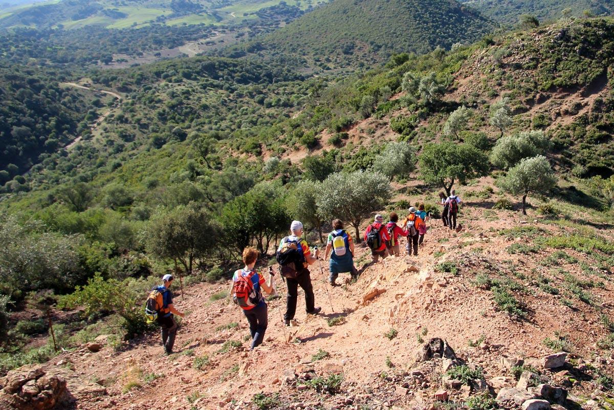 הוסטל Villafranca de Córdoba Albergue Rural De Fuente Agria מראה חיצוני תמונה